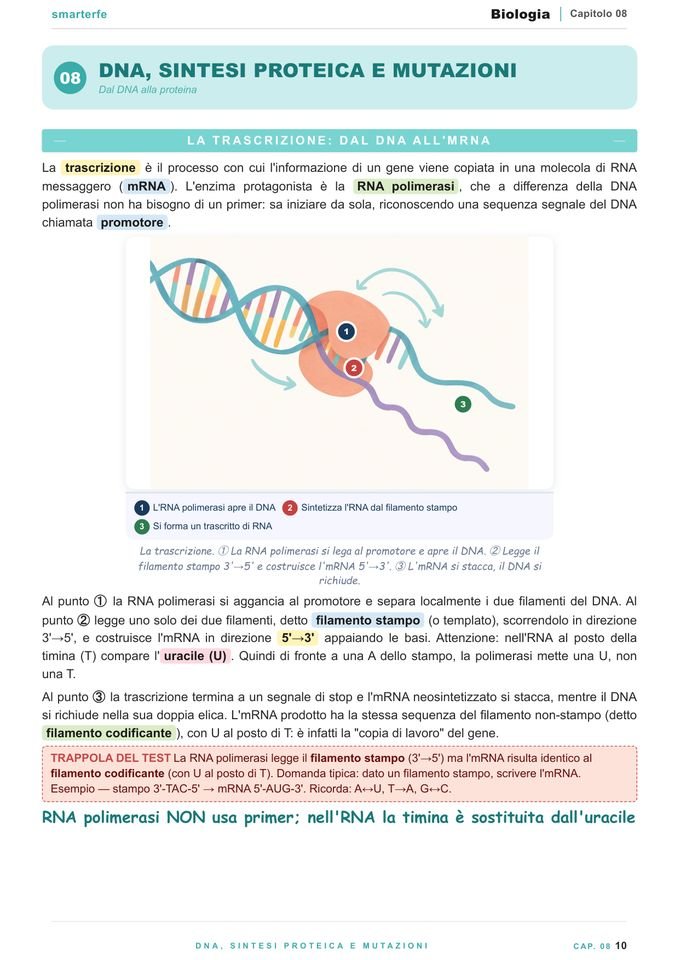 Pagina del Manuale di Biologia: DNA, sintesi proteica e mutazioni