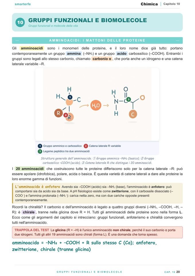 Pagina del Manuale di Chimica: gruppi funzionali e biomolecole