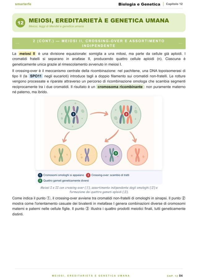 Pagina del Manuale di Biologia e Genetica: meiosi, ereditariet&agrave; e genetica umana