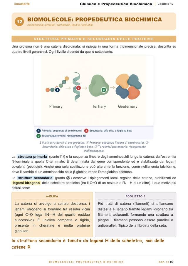 Pagina del Manuale di Chimica: biomolecole e propedeutica biochimica