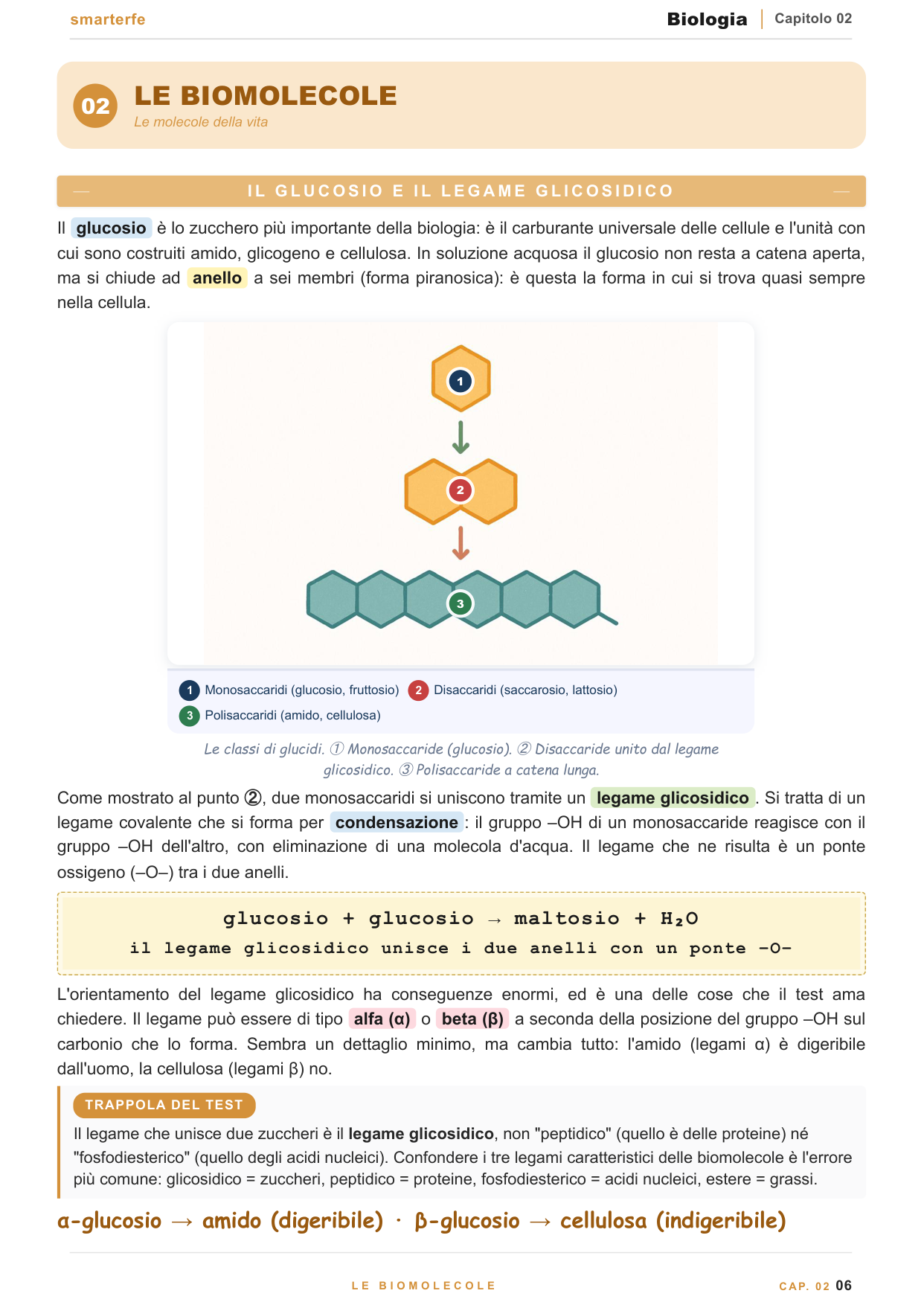 Copertina Manuale Biologia