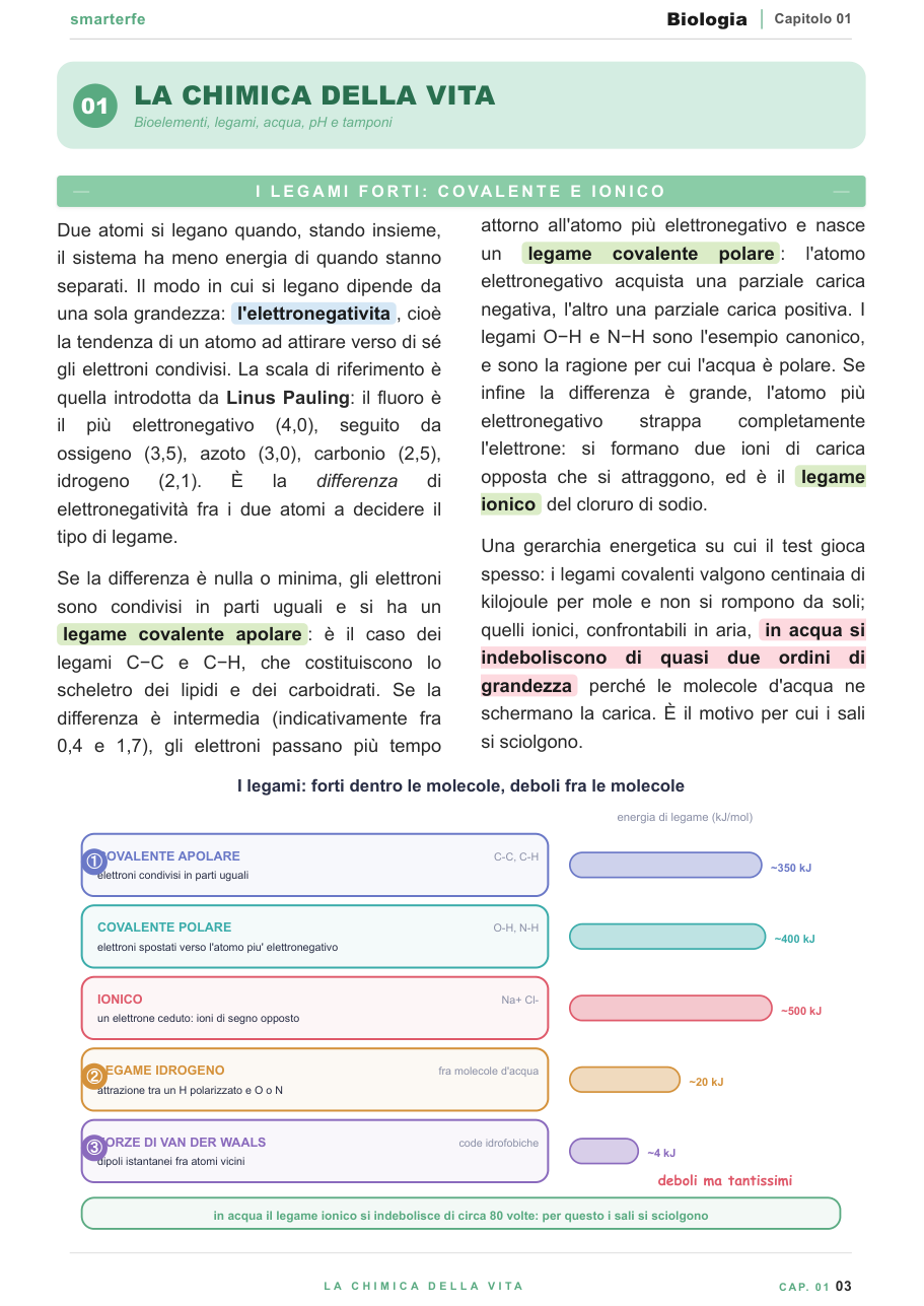 Copertina Biologia TOLC-F