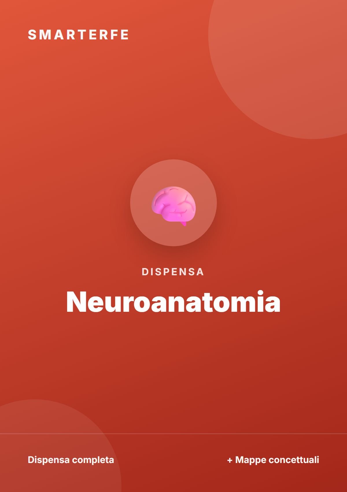Neuroanatomia