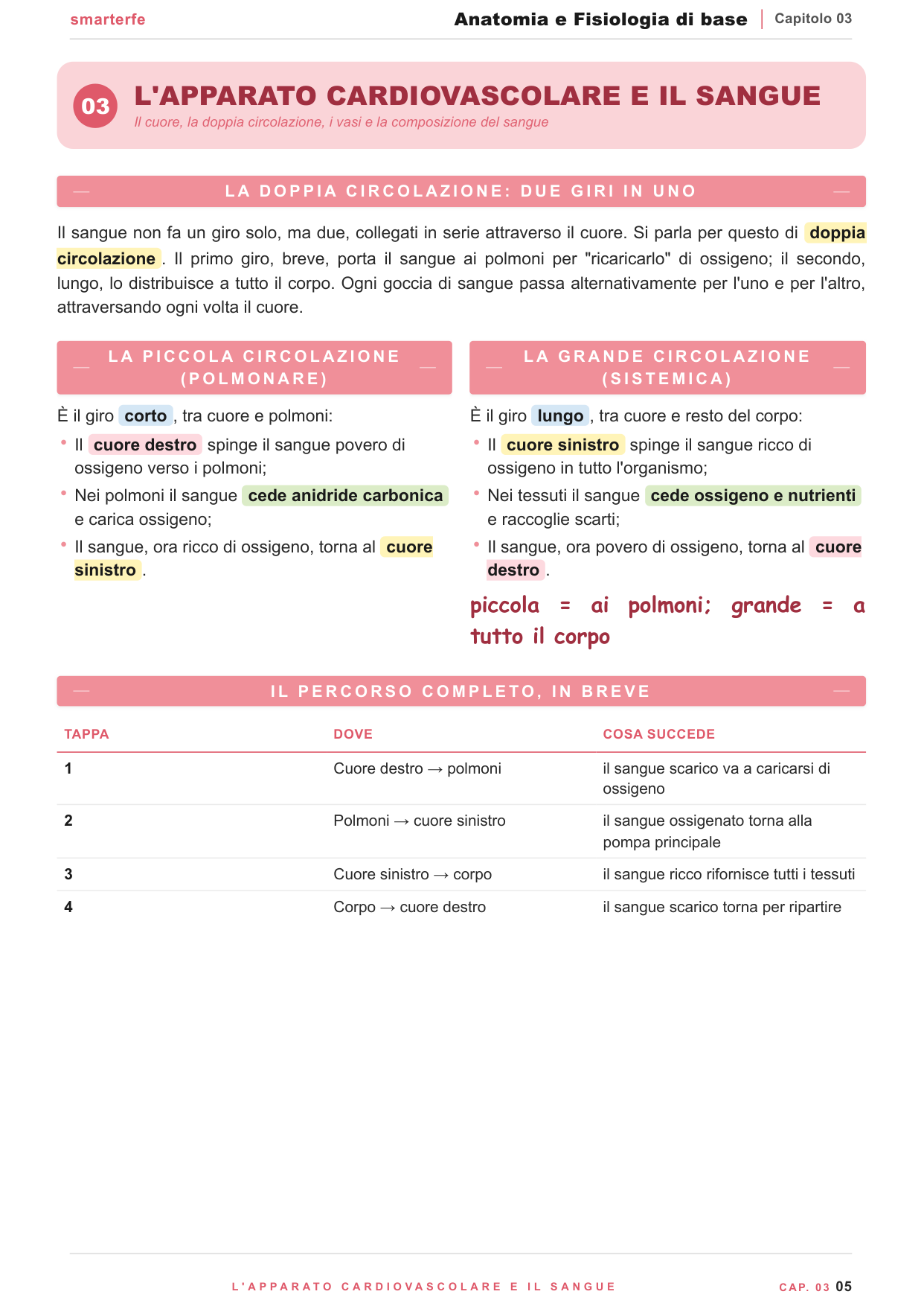 Anatomia e Fisiologia di base